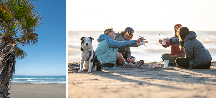 Split image: left shows a palm tree and blue sky with the ocean; right shows friends on the beach toasting with drinks, with a dog sitting nearby.