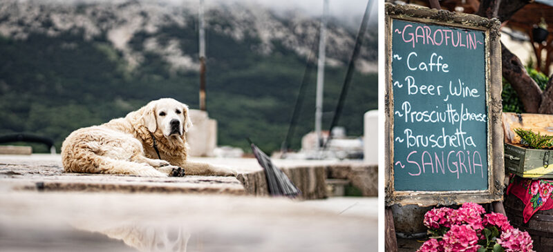 Golden retriever lounging on a stone dock by a harbor, with a chalkboard menu listing drinks and foods nearby (coffee, beer, wine, prosciutto, bruschetta, sangria).